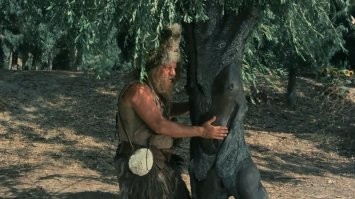 Это только первые пару лет дерево не похоже на женщину (с)