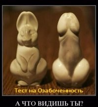 Не ищите здесь смысл. Здесь в основном маразм
