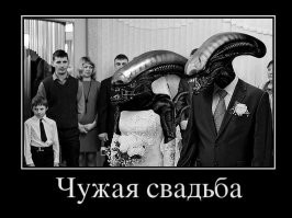 Смешные картинки