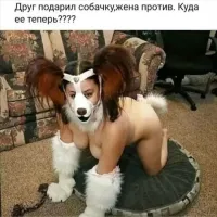 И в хвост, и в гриву