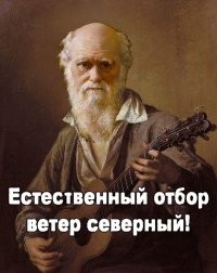 В Таиланде российская туристка решила полюбоваться штормовыми волнами и погибла