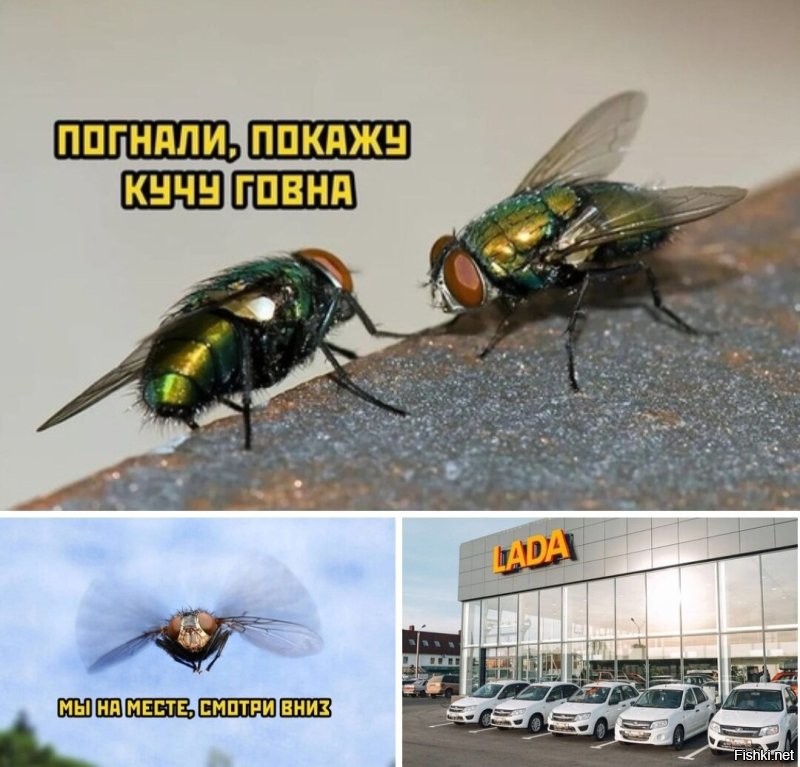 Чет вспомнилось )))