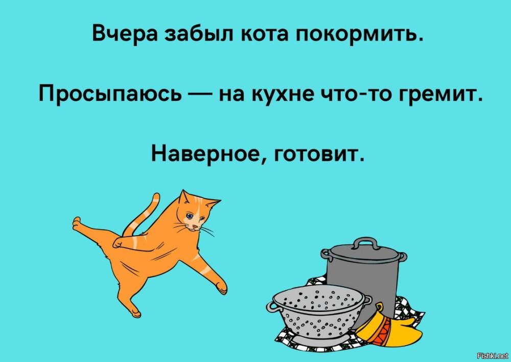 25 мест в доме, где могут неожиданно обнаружиться котики и порадовать своим видом хозяина