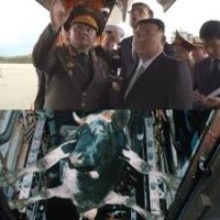 Когда вышел на улицу в новых белых кроссовках