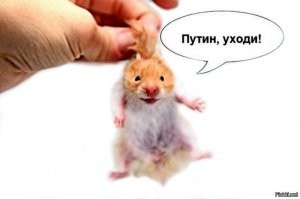 Что, хомячок, плачешь наверное по своему сисянфюреру?