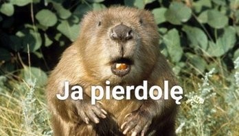 Почти три метра в&nbsp;длину и&nbsp;130 килограмм. Польский рыбак выловил в&nbsp;Испании рыбу-гиганта&nbsp;