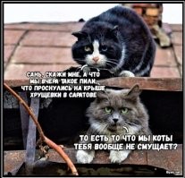 Парень попросил  рассказать самые позорные истории под воздействием алкоголя