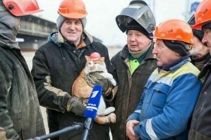 Талисман Крымского моста кот Мостик отметил девятилетие