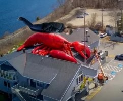 ФотоВсячина