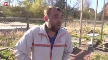 кот про себя