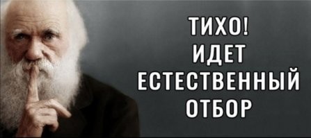 Морской чёрт укусил чудака