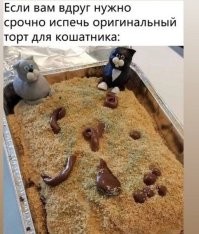 Торт в виде кошачьего лотка