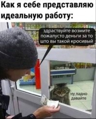 Ленивый кот-кассир