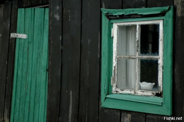 Как что? Дания!!!

Например, дачный сортир в мордоре:


А необычный домик в Дании такой:


Хоть немножко улавливаете разницу?!
Вот, то-то же.