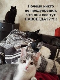 Фродо 3 месяца, и он у нас самый маленький