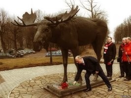 Лось встретил достойную самку, но она оказалась макетом