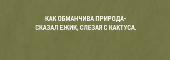 Лось встретил достойную самку, но она оказалась макетом