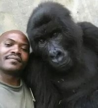 Следы, оставленные 1,5 млн лет назад в Африке, раскрывают тайны эволюции человека