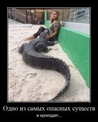 Не ищите здесь смысл. Здесь в основном маразм