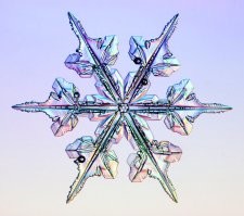 Фото из проекта «Снежные кристаллы» (Snow Crystals).