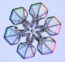 Фото из проекта «Снежные кристаллы» (Snow Crystals).