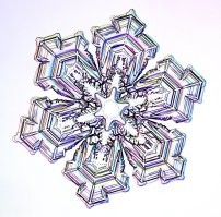 Фото из проекта «Снежные кристаллы» (Snow Crystals).