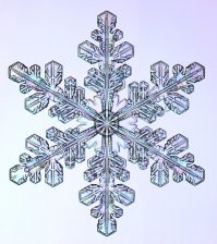 Фото из проекта «Снежные кристаллы» (Snow Crystals).