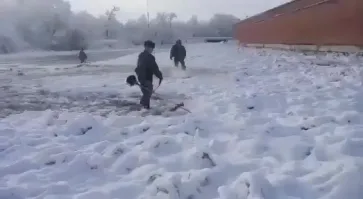 «Готовь сани летом, а траву коси зимой» 
Хорошо хоть траву красить в зелёный цвет не заставили....

Вообще это может удивить только тех кто не служил....
Косить траву, чтобы снег лежал ровно - обычное занятие.