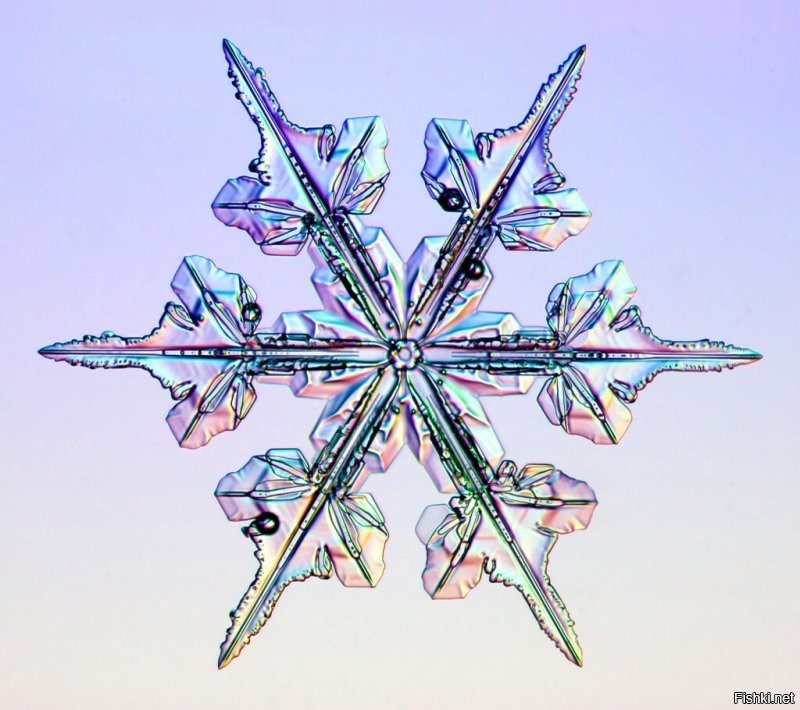 Фото из проекта «Снежные кристаллы» (Snow Crystals).
