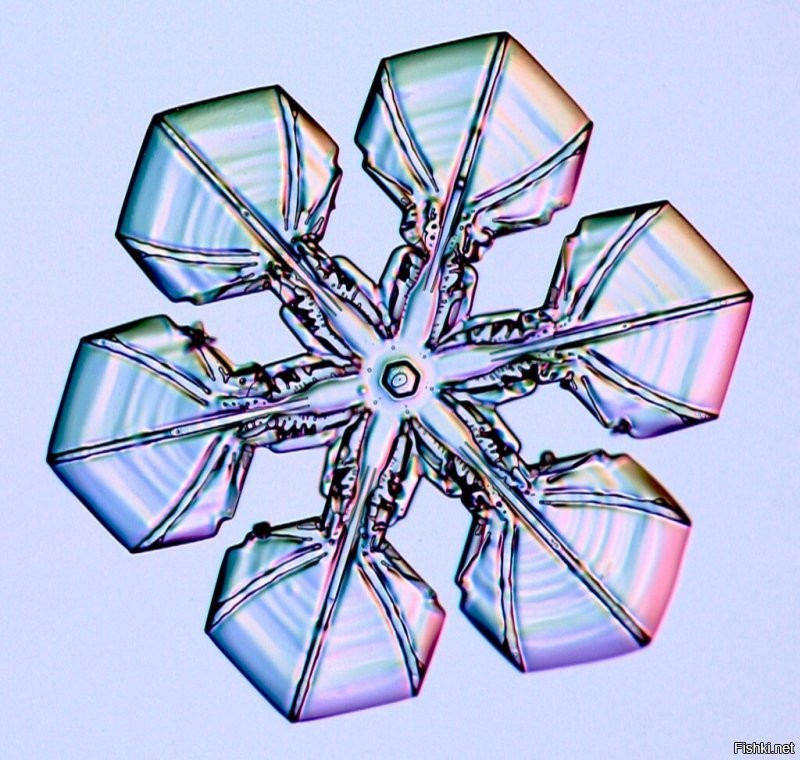 Фото из проекта «Снежные кристаллы» (Snow Crystals).