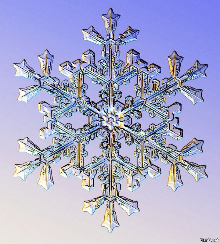 Фото из проекта «Снежные кристаллы» (Snow Crystals).
