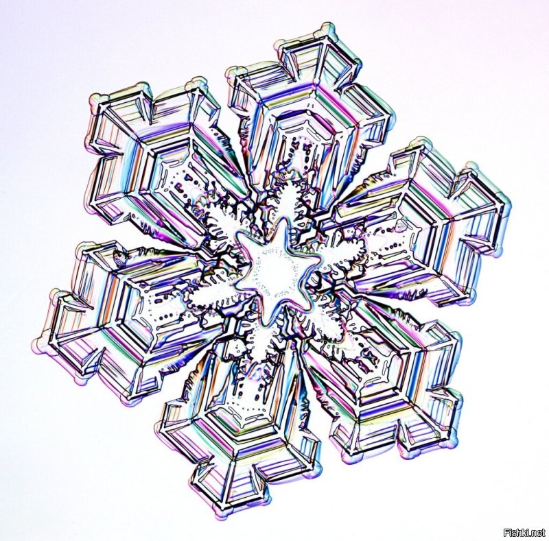 Фото из проекта «Снежные кристаллы» (Snow Crystals).