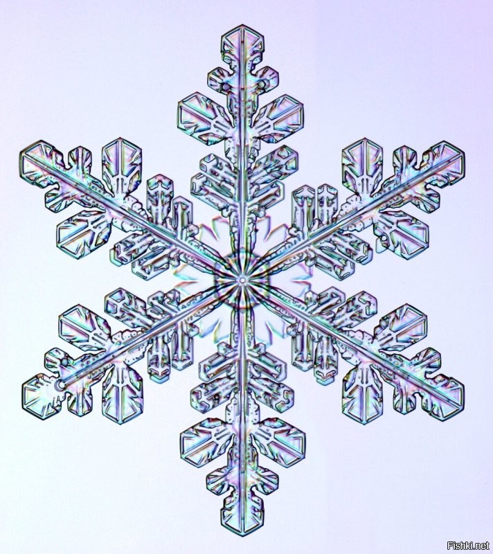 Фото из проекта «Снежные кристаллы» (Snow Crystals).