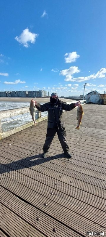 Ну да такое брать вообще нельзя я понимаю такие по 650 и больше но не таких малолеток полосатеньких . Я тоже могу так же поиздеваться над тем кто не пошел но не такими размерами .