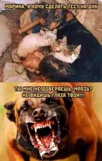 Девушка рассказала, как случайно узнала, что муж ей изменяет