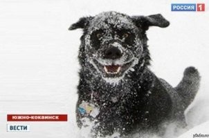 Это супер. Напомнило южно-кокаинск