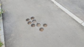 Асфальт на тротуаре должен быть в толщину хотя-бы сантиметров десять. Два слоя.
Под асфальтом должна быть утрамбованная песчанно-гравийная смесь а не это вот.
После взятия керна дырка должна заделываться специальной смесью, а не просто заливаться битумом, как на второй картинке. Тем не менее....