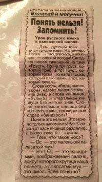 "Мамой клянус, научу тебе русскому!": на Камчатке интегрировать мигрантов к жизни в РФ будет  азербайджанская диаспора