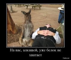 Пермский наркодиспансер сделал своим талисманом белочку