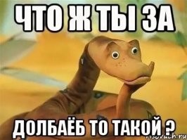 Оплатил долги и заказал проституток: мужчина столкнул жену в море из-за страховых выплат