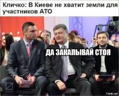 Политический мониторинг (504)
