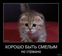 25 животных, которые в совершенстве овладели искусством демонстрации чувств вины, тоски и грусти