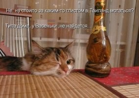 25 животных, которые в совершенстве овладели искусством демонстрации чувств вины, тоски и грусти