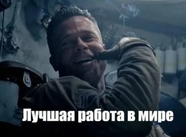 Как устроена работа ветеринаров Московского зоопарка