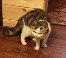 Скрины из соцсетей&nbsp;&nbsp;&nbsp;&nbsp;&nbsp;&nbsp;&nbsp;&nbsp;&nbsp;&nbsp;&nbsp;&nbsp;
