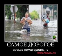 В Малайзии маленький мальчик, рискуя жизнью, спас кошек от наводнения