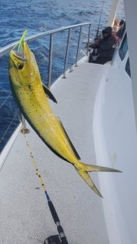 Привет от Серёги :)