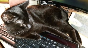 чего?
я работаю!