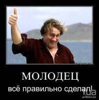 Бесславный конец воришки