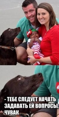 35 семейных снимков, на которых явно что-то не так